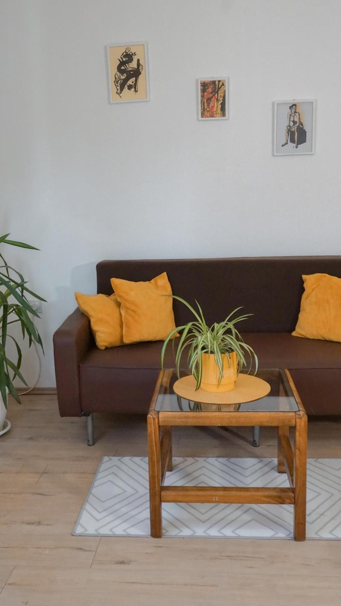 Apartmani Bubamara Leskovac Leskovac  Esterno foto